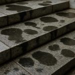 Почему на гранитных ступенях после дождя появляются темные пятна