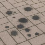Почему на тротуарной плитке после зимы появляются темные пятна