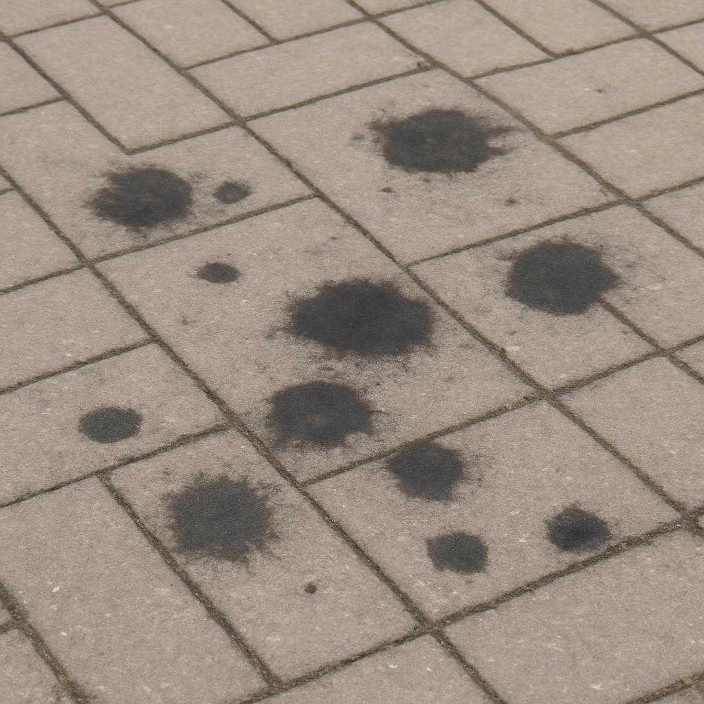 темные пятна на тротуарной плитке