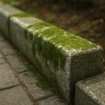 Зеленоватые пятна на гранитных бордюрах у входов и их причины