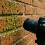 Зеленоватые точки на кирпичных стенках и их реальные источники