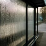 Почему утром на автобусных павильонах выступает конденсат
