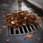 Почему сильный ливень забивает ливневки листьями и мусором
