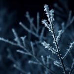 Почему ночная изморозь ускоряет старение уплотнителей на окнах