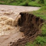 Почему паводковая вода вымывает грунт у пешеходных дорожек