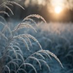 Как утренний иней меняет прозрачность рекламных щитов